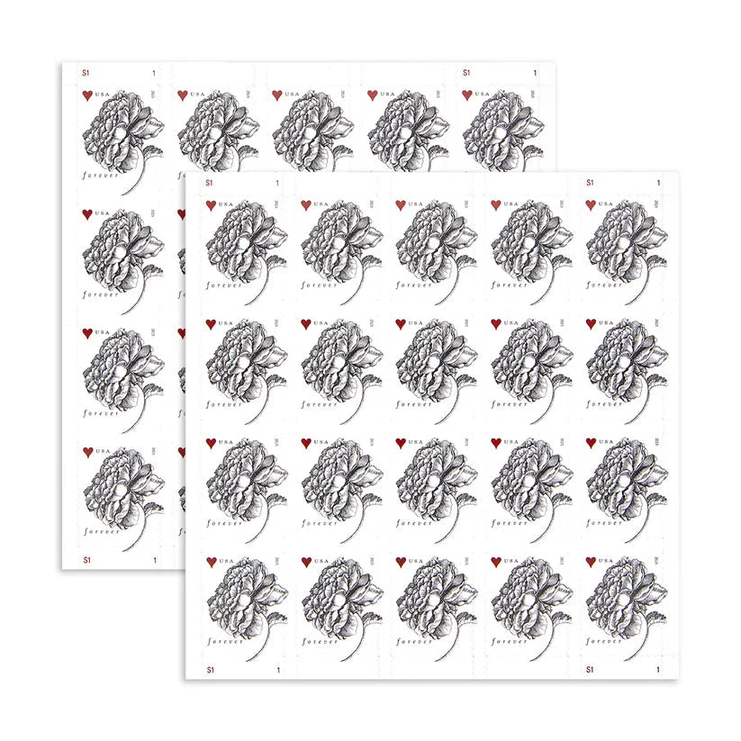 Antique Vintage Rose Forever First Class Postage Stamps